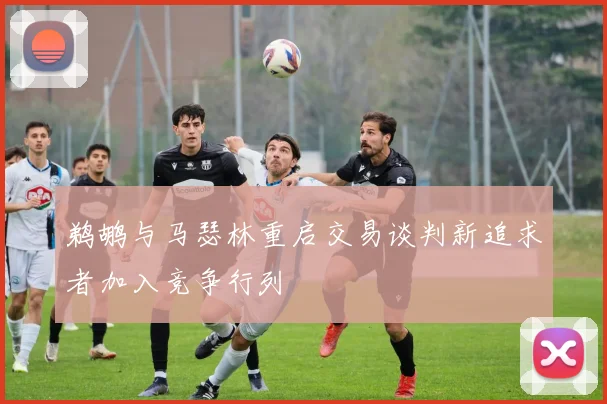 北京国安外援中卫试训表现引发关注或成防线补强新方案关键因素